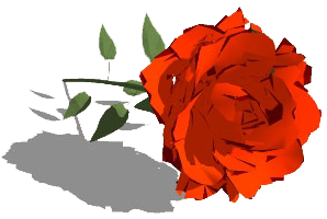 جلد کتاب همهٔ گلهای سرخ